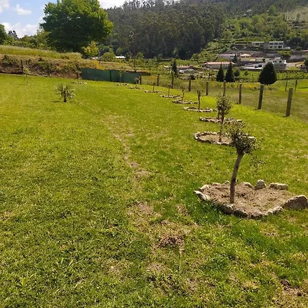 Chalet Quinta Dos Campos - Chale *