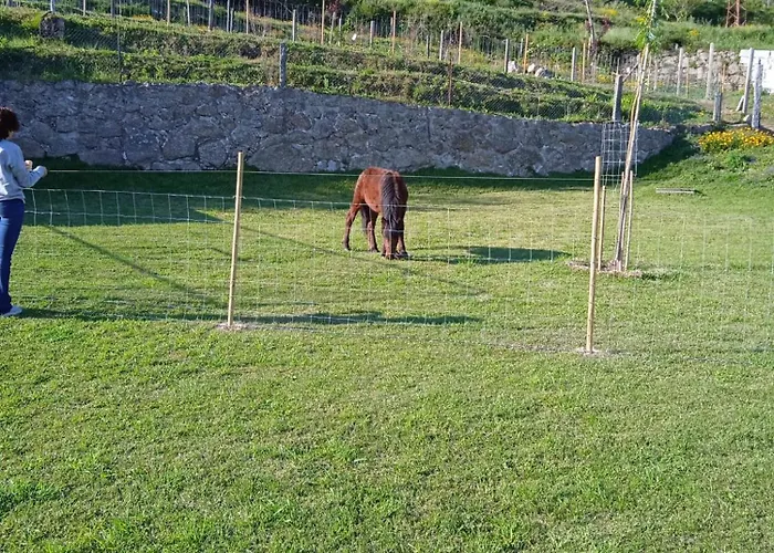 Chalet Quinta Dos Campos - Chale